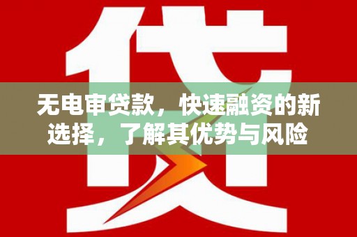 六龟无电审贷款，快速融资的新选择，了解其优势与风险