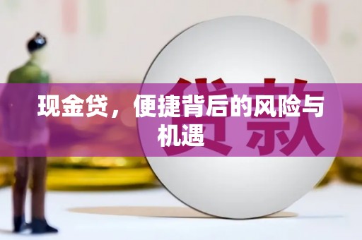 六龟现金贷，便捷背后的风险与机遇