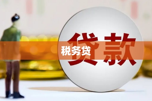 六龟税务贷