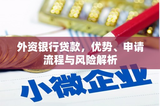 六龟外资银行贷款，优势、申请流程与风险解析