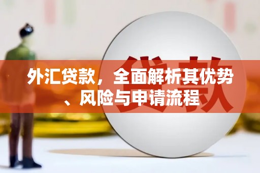 六龟外汇贷款，全面解析其优势、风险与申请流程
