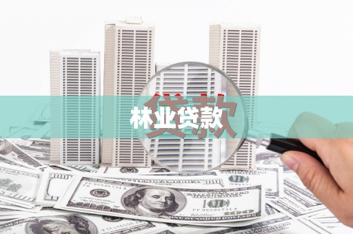 六龟林业贷款