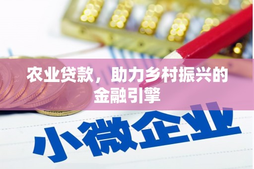 六龟农业贷款，助力乡村振兴的金融引擎