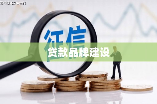 六龟贷款品牌建设