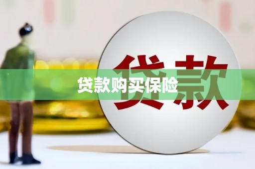 六龟贷款购买保险