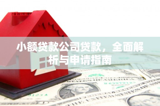 六龟小额贷款公司贷款，全面解析与申请指南