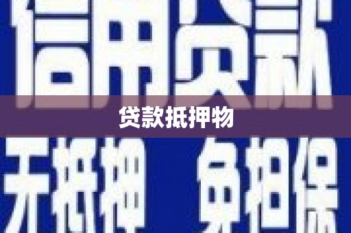 六龟贷款抵押物