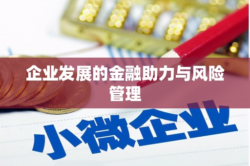 六龟企业发展的金融助力与风险管理