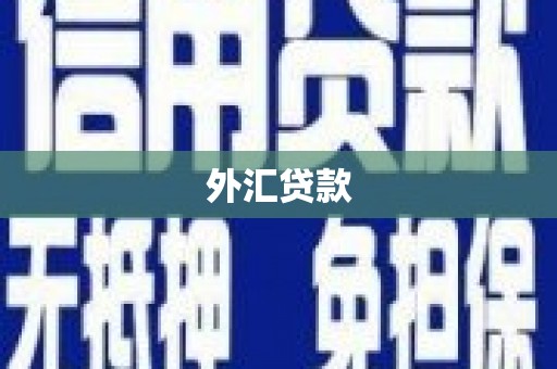 六龟外汇贷款