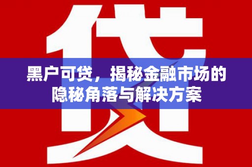 六龟黑户可贷，揭秘金融市场的隐秘角落与解决方案