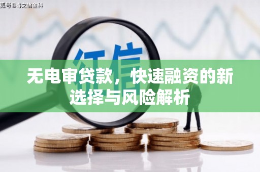 六龟无电审贷款，快速融资的新选择与风险解析