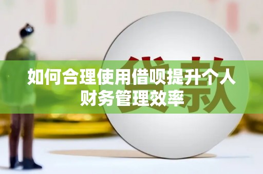 六龟如何合理使用借呗提升个人财务管理效率