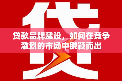 六龟贷款品牌建设，如何在竞争激烈的市场中脱颖而出