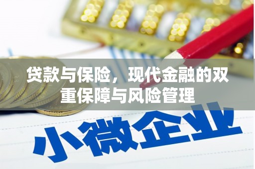 六龟贷款与保险，现代金融的双重保障与风险管理