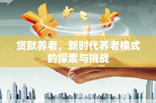 六龟贷款养老，新时代养老模式的探索与挑战