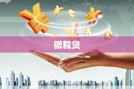 六龟微粒贷