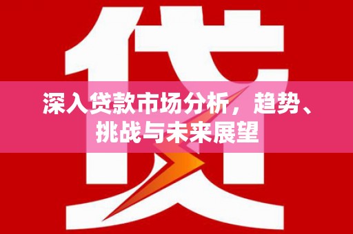 六龟深入贷款市场分析，趋势、挑战与未来展望