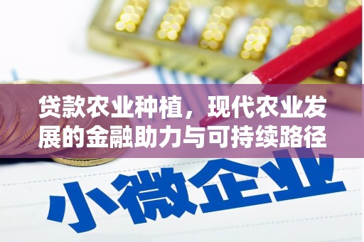 六龟贷款农业种植，现代农业发展的金融助力与可持续路径
