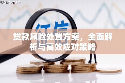 六龟贷款风险处置方案，全面解析与高效应对策略