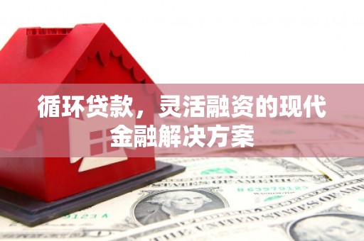六龟循环贷款，灵活融资的现代金融解决方案
