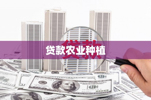 六龟贷款农业种植