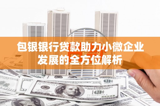 六龟包银银行贷款助力小微企业发展的全方位解析
