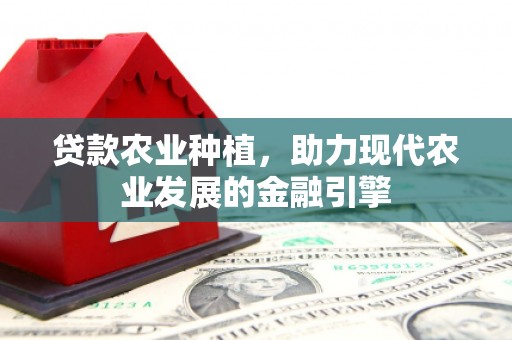 六龟贷款农业种植，助力现代农业发展的金融引擎