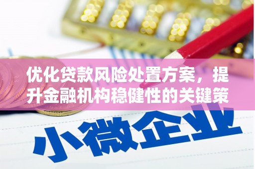 六龟优化贷款风险处置方案，提升金融机构稳健性的关键策略