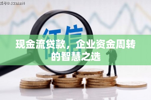 六龟现金流贷款，企业资金周转的智慧之选