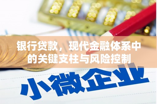 六龟银行贷款，现代金融体系中的关键支柱与风险控制