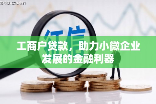 六龟工商户贷款，助力小微企业发展的金融利器