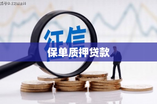 六龟保单质押贷款