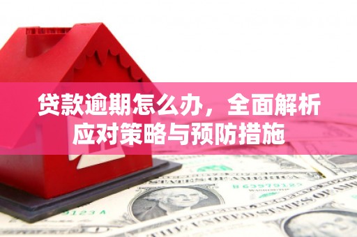 六龟贷款逾期怎么办，全面解析应对策略与预防措施