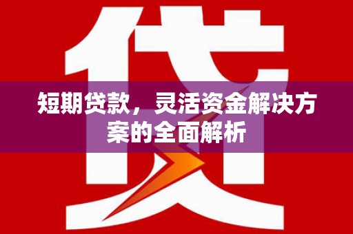 六龟短期贷款，灵活资金解决方案的全面解析