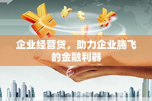 六龟企业经营贷，助力企业腾飞的金融利器