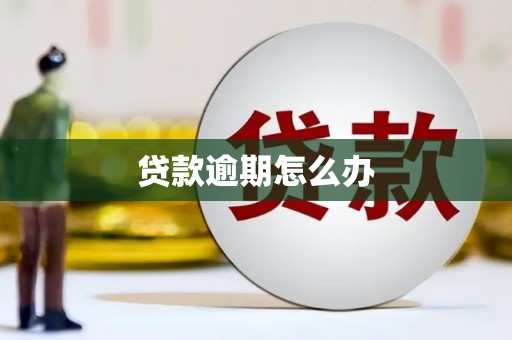 六龟贷款逾期怎么办