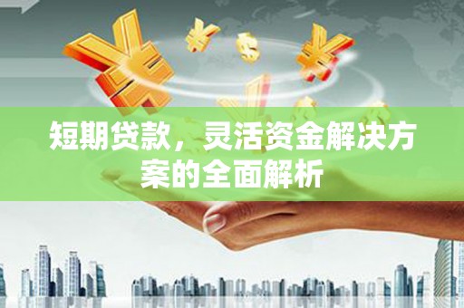 六龟短期贷款，灵活资金解决方案的全面解析