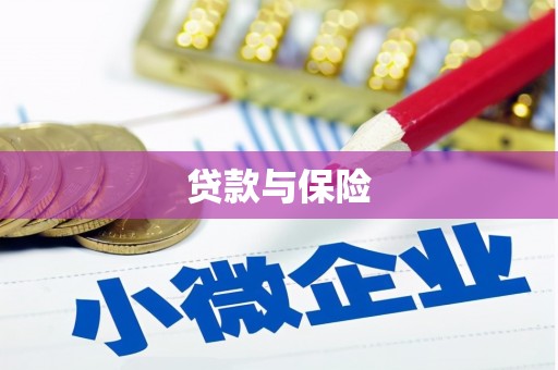 六龟贷款与保险