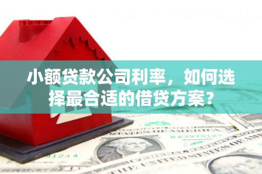六龟小额贷款公司利率，如何选择最合适的借贷方案？