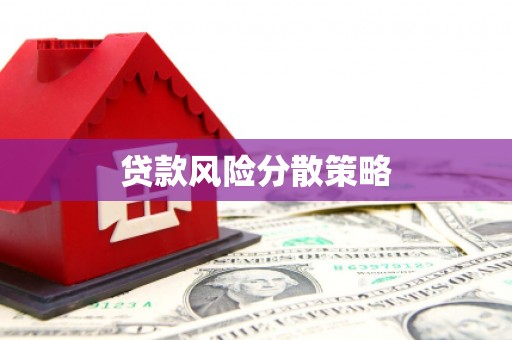 六龟贷款风险分散策略