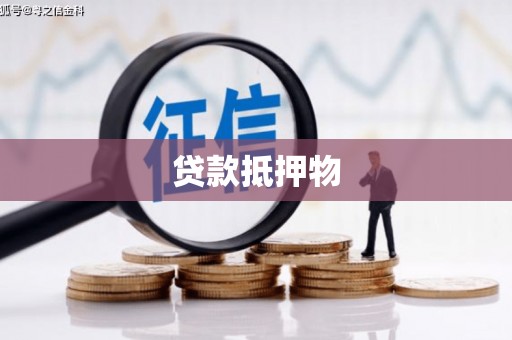 六龟贷款抵押物