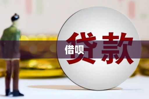 六龟借呗