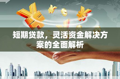 六龟短期贷款，灵活资金解决方案的全面解析