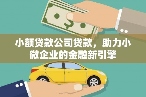 六龟小额贷款公司贷款，助力小微企业的金融新引擎