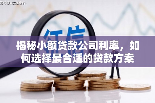 六龟揭秘小额贷款公司利率，如何选择最合适的贷款方案