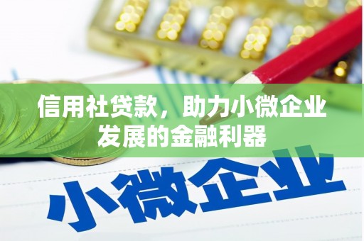 六龟信用社贷款，助力小微企业发展的金融利器