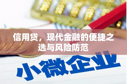 六龟信用贷，现代金融的便捷之选与风险防范