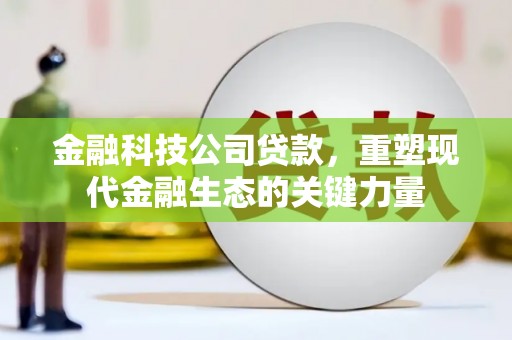 六龟金融科技公司贷款，重塑现代金融生态的关键力量
