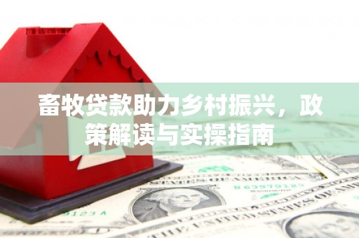 六龟畜牧贷款助力乡村振兴，政策解读与实操指南