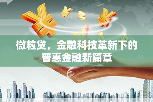 六龟微粒贷，金融科技革新下的普惠金融新篇章
